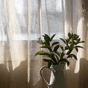 Dorene Smith - @DoreneSmit41052 - Twitter