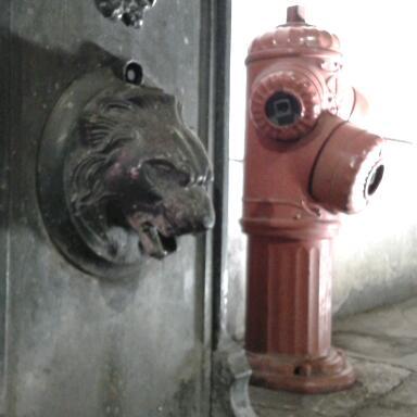 RMoulini's profile picture. 