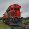SanKKR_25's profile picture. One and only Rail Enthusiast representing Tinsukia .
Base :- TSK , DBRG