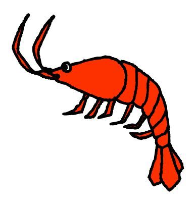 torutrain's profile picture. 