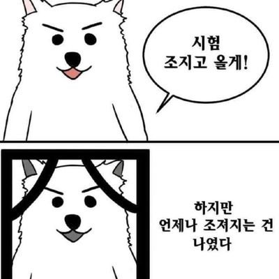 스텔라이브
이세돌 덕질합니다