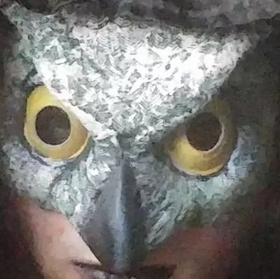 cowled_owl Profile Picture