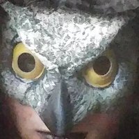 Priestess Cowled Owl(@cowled_owl) 's Twitter Profile Photo
