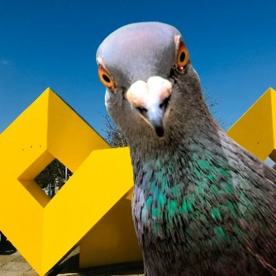 nuigsays's profile picture. NUIG Confessions that's here to stay!
Share your tea using this link: https://t.co/nCUkdpHnZa
All tweets are anonymous