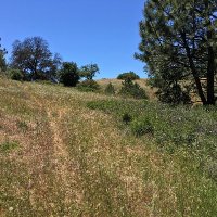 Jeff Baker (@jrbprof) 's Twitter Profile