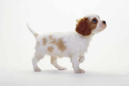 actnow0427's profile picture. どうも、ひろと申します。早稲田大学を卒業し、現在は徳島大学大学院に通っています。
大学ではコミュニティビジネスを学び、それを生かして元気のない徳島の現状を脱却すべく色々と動き回ってます。当面の目標は徳島を元気にすること、そしてひいては日本を元気にすること！
何かご相談がありましたら、気軽にメッセージください！