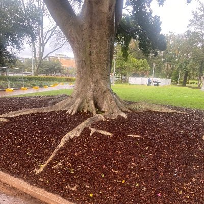 AsherTypo's profile picture. 