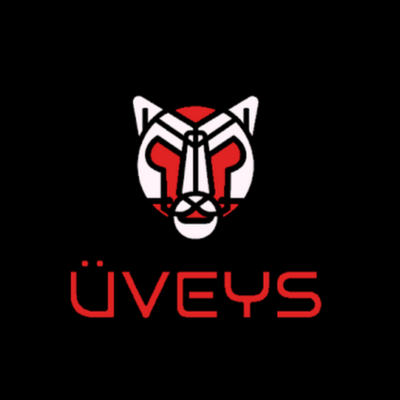 veysGm293857's profile picture. 