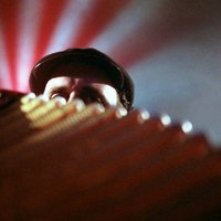 Franz Nicolay (@franznicolay) 's Twitter Profile