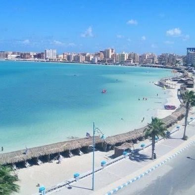 sarahrealestat's profile picture. 