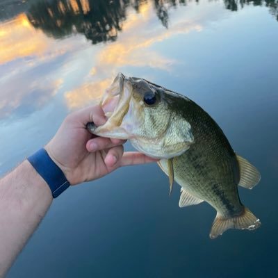 andy_pandina15's profile picture. this is my bio