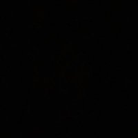 🅿️ulp (@qpulp_) 's Twitter Profile