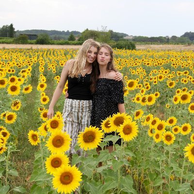 Sunflower girl 🌻🌻 NFT collector, Crypto investor