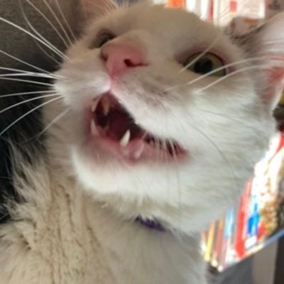 Ellen19841's profile picture. 