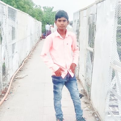 ShastriGau5302's profile picture. 