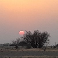مهدی م د (@shah_valiahd) 's Twitter Profile