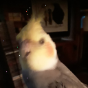 Wes Berg - @WesBerg124866 - Twitter