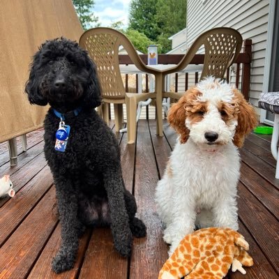 05lucky's profile picture. 