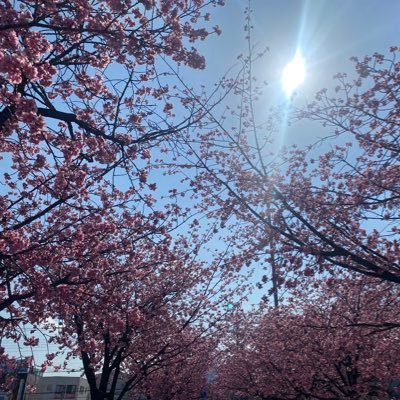 hyo_tanz's profile picture. Archive