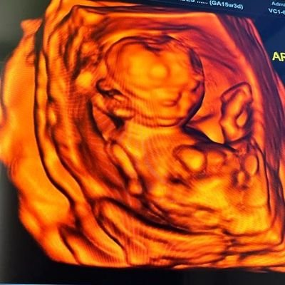 ladys1flak's profile picture. 