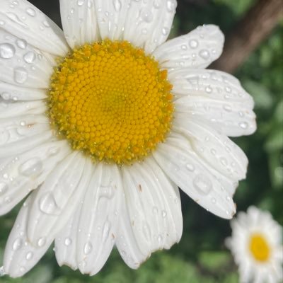 VictoriaStampe4's profile picture. 