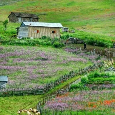 خوب باش ...
بهشت از همون جایی شروع میشه
که به خدا اعتماد میکنی !

سوره هود آیه ۲۳