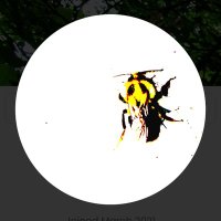 entati (@entatinft) 's Twitter Profile