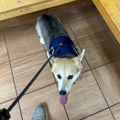 Dorian51912546's profile picture. 