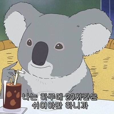 l2terature's profile picture. 지금 당장 빠진 것을 모두 모아서/
20⬆️