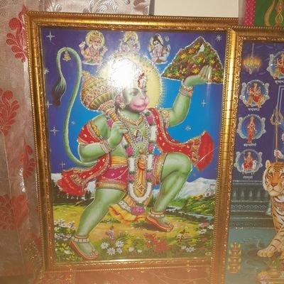 DesiRock13's profile picture. 