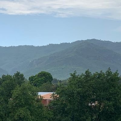 asmaqurban's profile picture. 