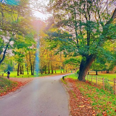 guo2023193382's profile picture. Ecologist