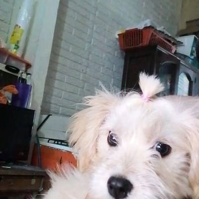 randoomnm's profile picture. 