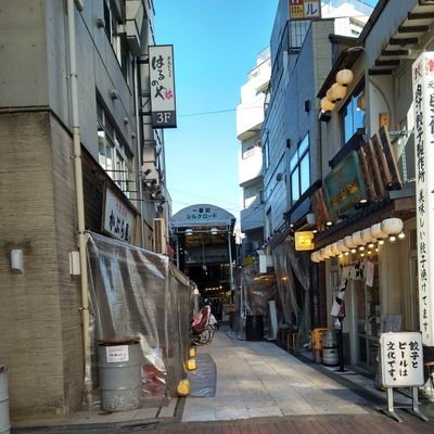 ylmTlywQ6r71255's profile picture. 