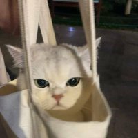 404 (@happiernotfound) 's Twitter Profile