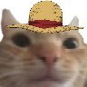 dassa_bird's profile picture. one piece is real