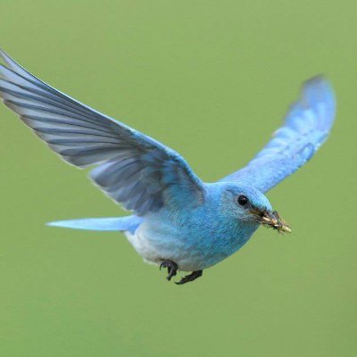 TNgaiyaye's profile picture. Instant news