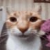 saltwater.daisy (@saltypetalz) Twitter profile photo saltwater.daisy (@saltypetalz) Twitter profile photo