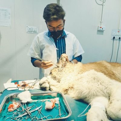 asfaque_asr's profile picture. ★ 𝙳𝚛. 𝙰.𝚂. 𝚁𝚊𝚑𝚖𝚊𝚗 🧑‍⚕️
★ Ⓥ︎Ⓔ︎Ⓣ︎ 𝕯𝖔𝖈𝖙𝖔𝖗 🐾🩺