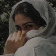 llvw0's profile picture. 