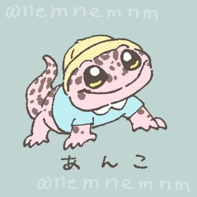 「ここ」と読みます
ポケモン(ラプラス、マリルリ)、デレステ(フレちゃん、みくにゃん)、ウマ娘が大好きです💕
🐭ペットたちとの楽しい日常生活🦎
レオパ13、ニシアフ22、アオジタ2、クレス4、マレーキャットゲッコー2、ニホンヤモリ2、アフリカヤマネ、フトアゴヒゲトカゲ、ヒメハリテンレック🐭🦎