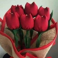 متحرر للنساء فقط (@nssjf100) 's Twitter Profile
