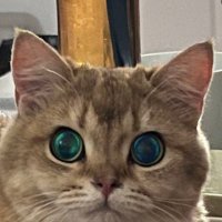 YeHang (@yehangharry) 's Twitter Profile Photo YeHang (@yehangharry) 's Twitter Profile Photo