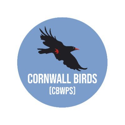 Cornwall County Bird Club - Promoting conservation, collecting bird news for the annual bird report, daily sightings and more - https://t.co/5mh5LuHIZm