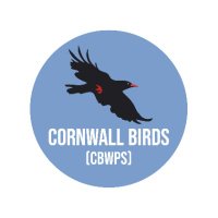 Cornwall Birds (@cbwps1) 's Twitter Profile
