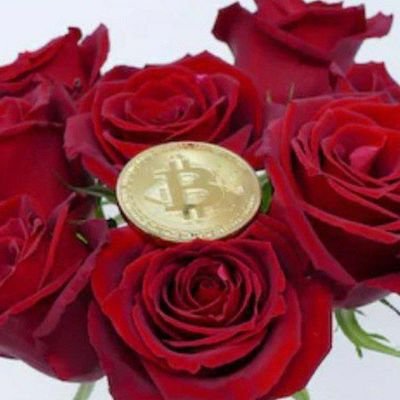 All Rose Premium Signals for FREE here !