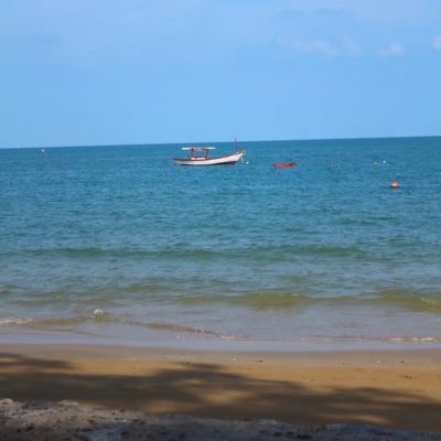 ptron500's profile picture. 