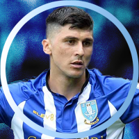 Fessi 🦉 (@swfcfessi) 's Twitter Profile