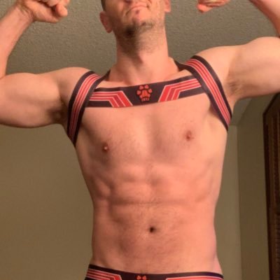 wrestleguy1231 Profile Picture