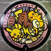 Gecko*🦎【映り込み集めてます】 (@gecko_pokemongo) 's Twitter Profile